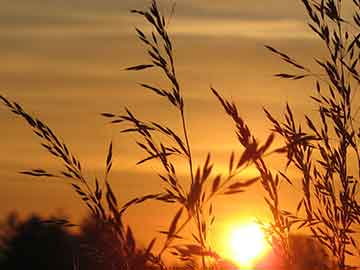夜跑与城市灯光下的运动摄影技巧